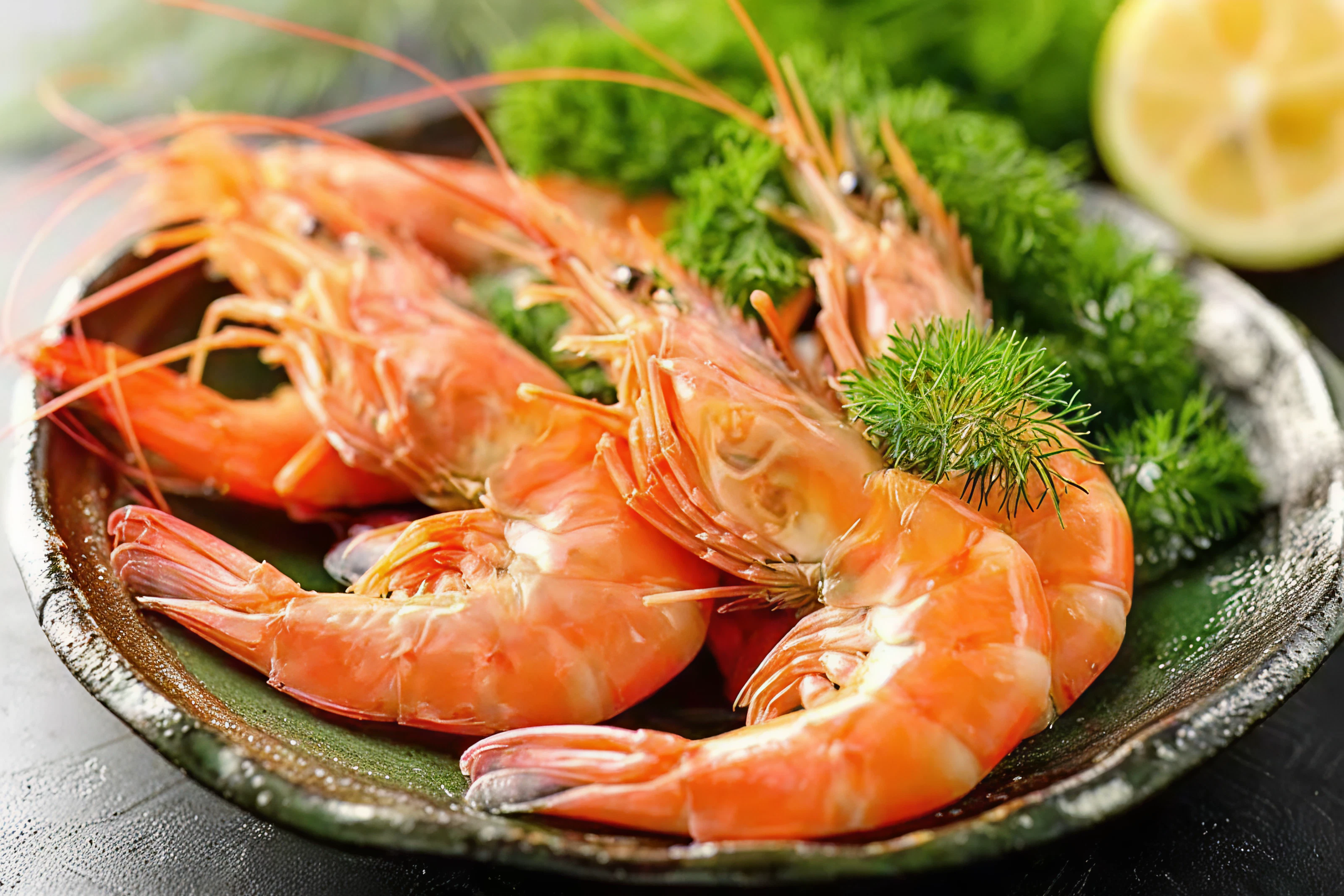 Seafood Background